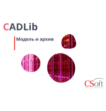 Право на использование программного обеспечения CADLib Модель и Архив (3.x, сетевая лицензия, серверная часть (1 год))